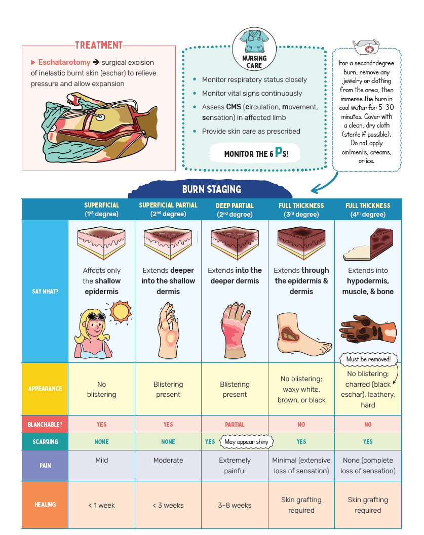 THE ESSENTIAL NURSING SCHOOL BOOK– <span>DIGITAL</span>