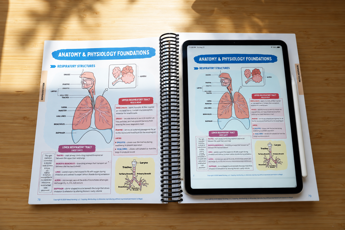 THE ESSENTIAL NURSING SCHOOL BOOK– <span>DIGITAL</span>